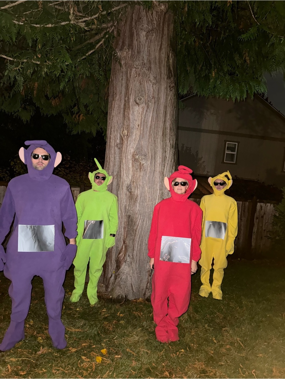 Adult Teletubby Halloween Costume Set - all 4 costumes